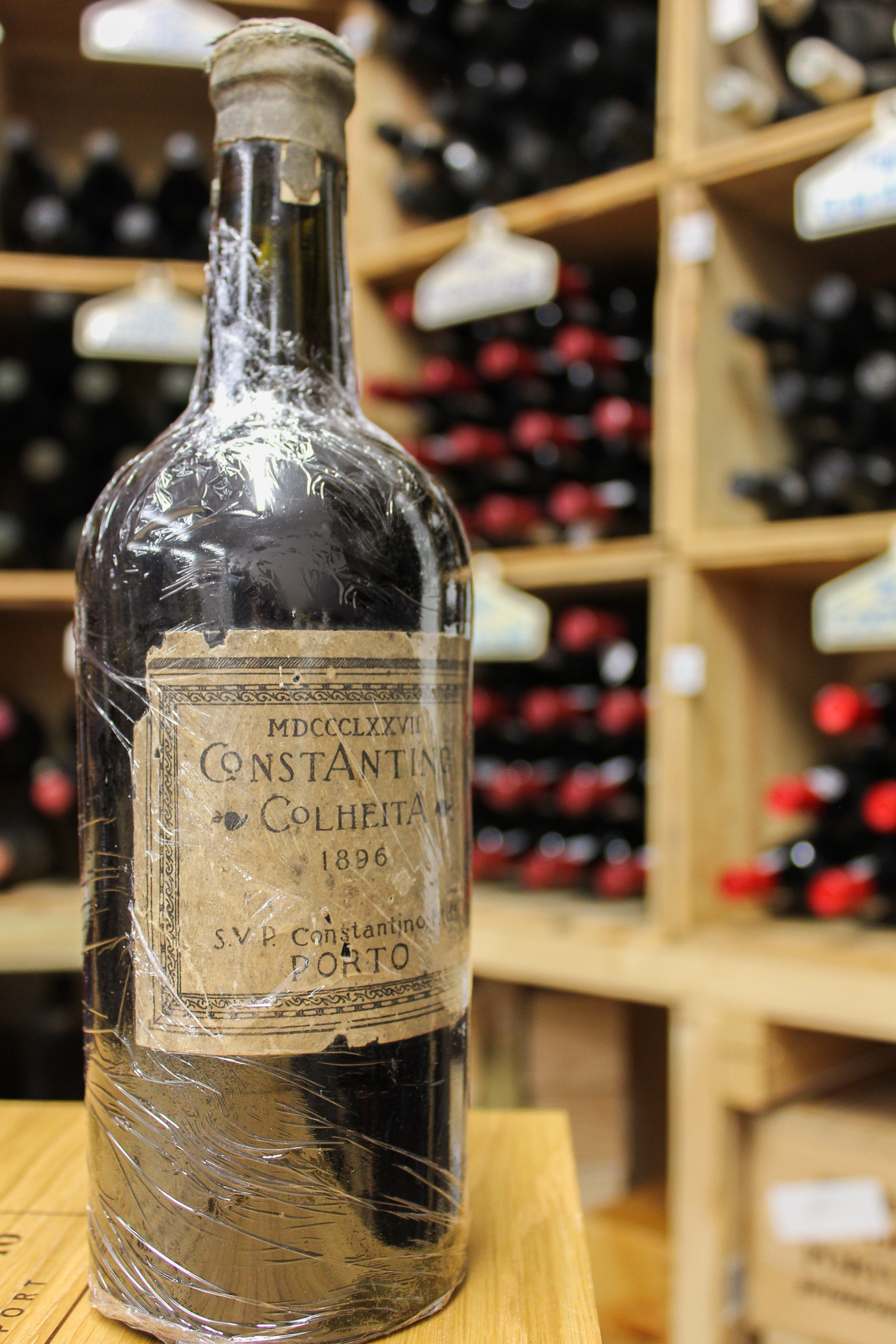 Constantino colheita 2