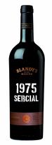 Blandys, 1975