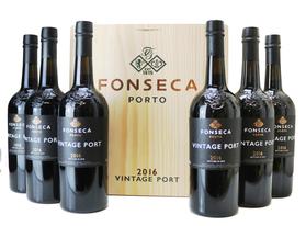 Fonseca Port, 2016