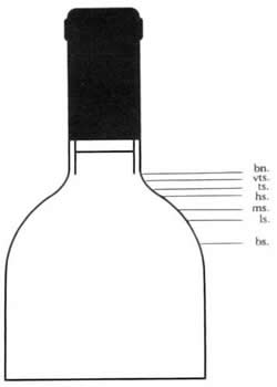 Diagram of bottle showing the following levels labelled, in descending order: bn. vts. ts. hs. ms. ls. bs.